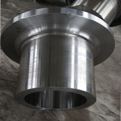 Stainless steel forging