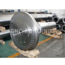 CNC forgin flange company