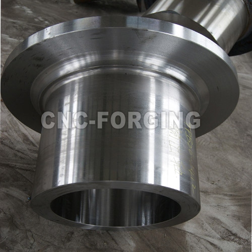 China carbon steel forging parts